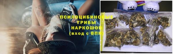 ешки Арсеньев