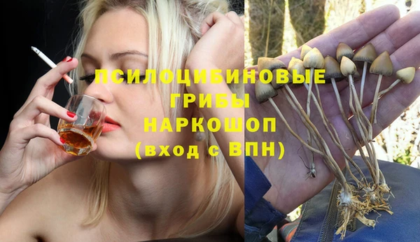 ешки Арсеньев
