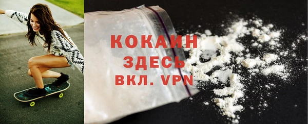 ешки Арсеньев