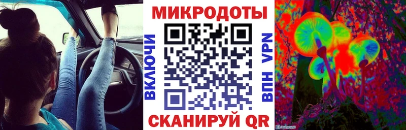 где купить наркотик  Новодвинск  Галлюциногенные грибы прущие грибы 