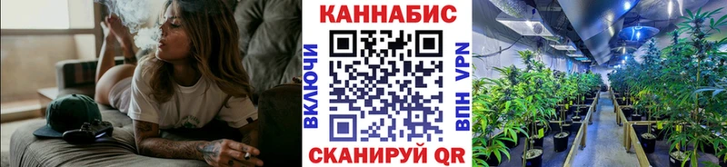 где можно купить Новодвинск Канабис планчик